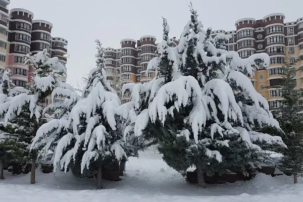Azra Tatil Köyü - Resim 10
