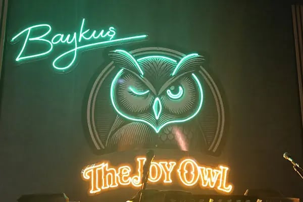 The joy owl - Resim 10