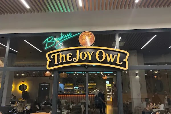The joy owl - Resim 18