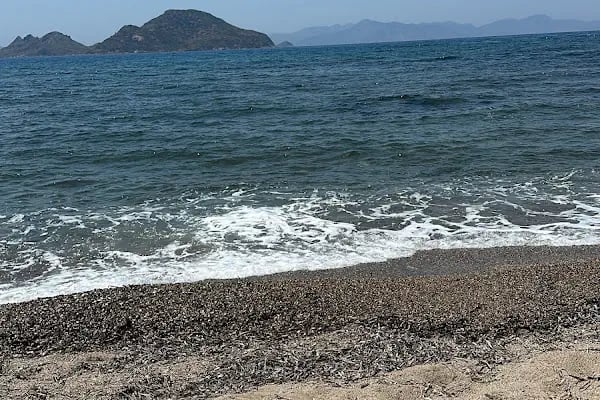 Solt Suites Bodrum - Resim 4