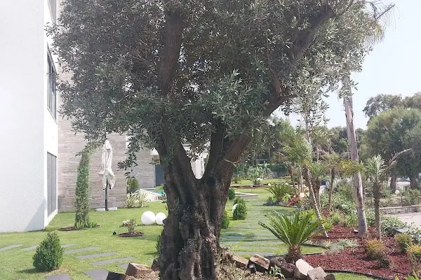 Solt Suites Bodrum - Resim 10
