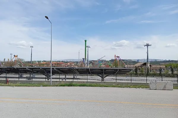 Dijital Hayvanat Bahçesi - Resim 17