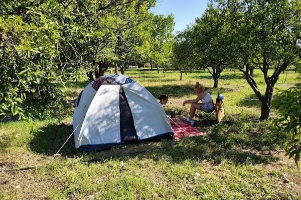 Çekirdeksiz Mandalin Camping Kemer Antalya Çadır Karavan Kamp Alanı - Resim 2