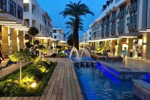 Çekirdeksiz Mandalin Camping Kemer Antalya Çadır Karavan Kamp Alanı - Resim 8