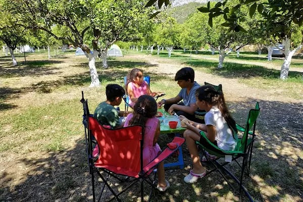 Çekirdeksiz Mandalin Camping Kemer Antalya Çadır Karavan Kamp Alanı - Resim 18