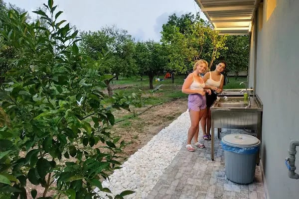 Çekirdeksiz Mandalin Camping Kemer Antalya Çadır Karavan Kamp Alanı - Resim 11