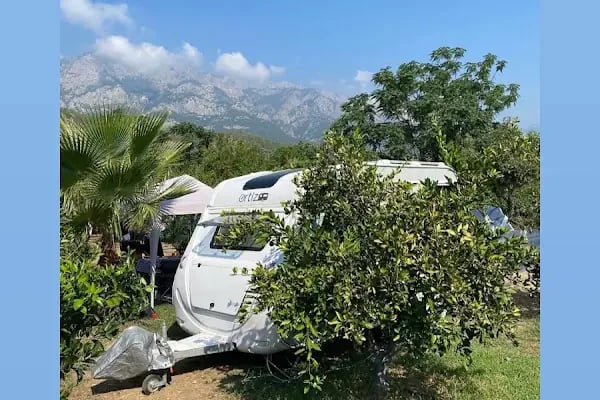 Çekirdeksiz Mandalin Camping Kemer Antalya Çadır Karavan Kamp Alanı - Resim 15