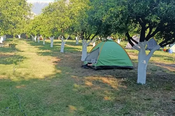 Çekirdeksiz Mandalin Camping Kemer Antalya Çadır Karavan Kamp Alanı - Resim 20