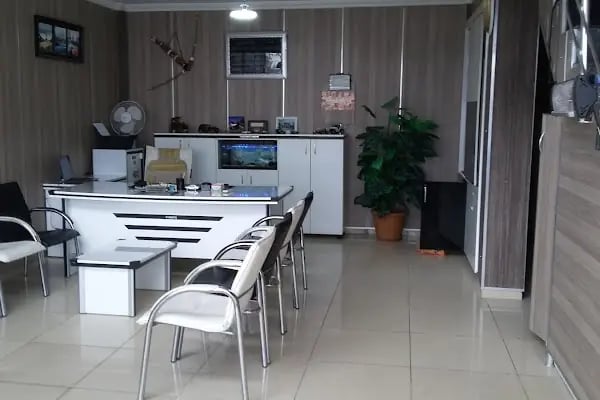 Kaya yeşil çınar otomotiv - Resim 2