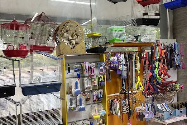 Albino petshop 2 - Resim 8