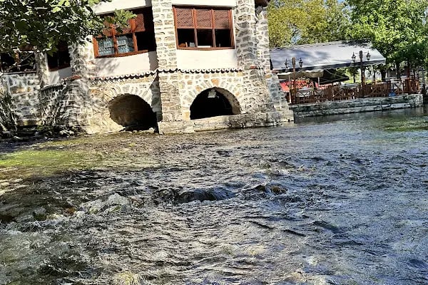 Cennet Restaurant - Azmak Başı Akyaka - Resim 10