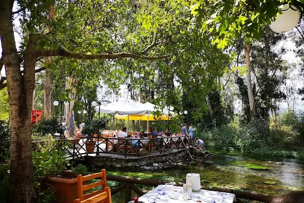 Cennet Restaurant - Azmak Başı Akyaka - Resim 15