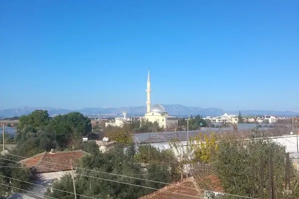 Altıntaş Mahalle Cami - Resim 13