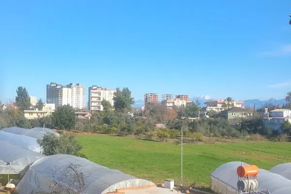 Altıntaş Mahalle Cami - Resim 2