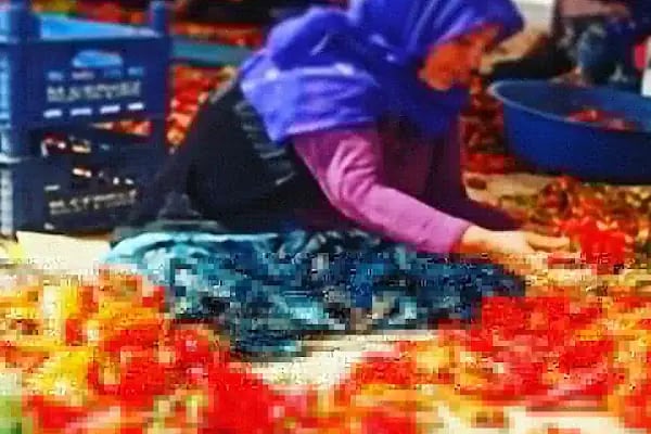 Çetin İsot | Şanlıurfa İsot Doğal Ürünler Satışı - Resim 16