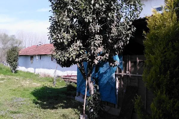 Koçaklar Besicilik - Resim 3
