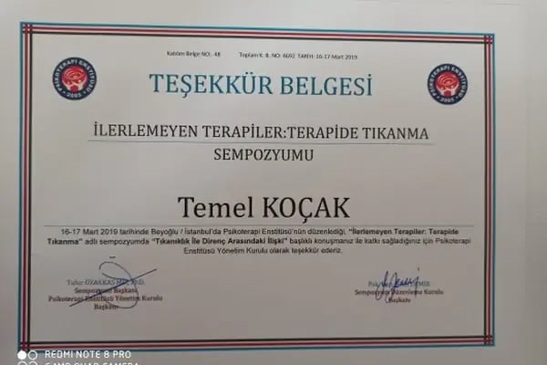 Psk. Dan. Temel Koçak, Psikolojik Danışma ve Rehberlik - Resim 18