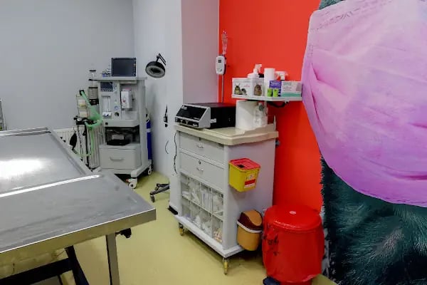 EVCILIM 7/24 AÇIK VETERINER POLIKLINIĞI - Resim 6