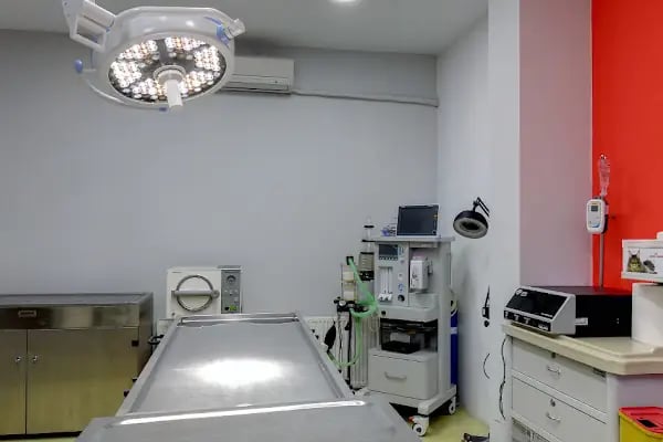 EVCILIM 7/24 AÇIK VETERINER POLIKLINIĞI - Resim 13