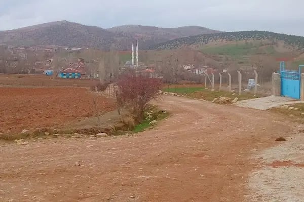 Arnavutköy Merkez - Resim 4
