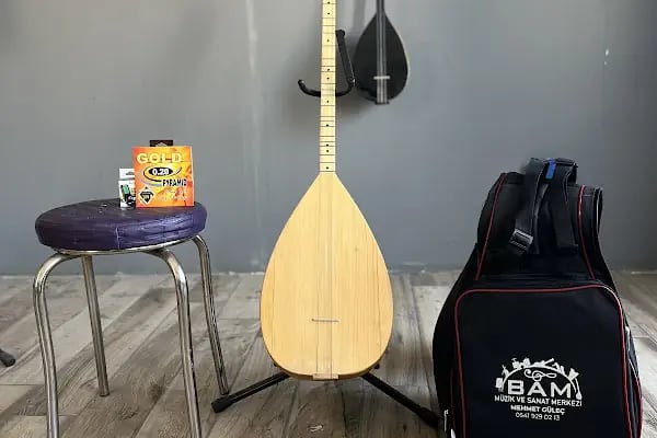 Bam Müzik ve Sanat Merkezi - Resim 3