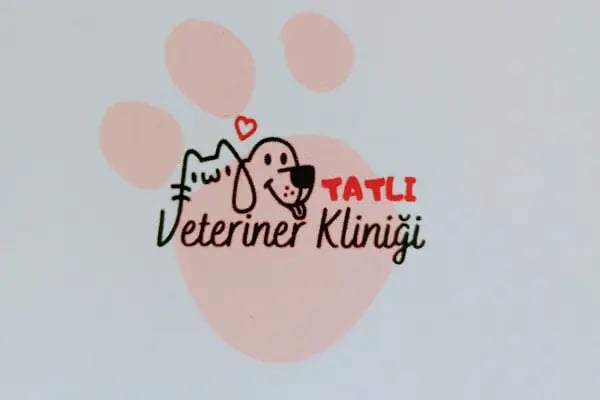 VETALİA VETERİNER KLİNİĞİ - Resim 2