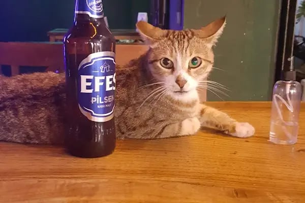 Takılın Pub - Resim 11