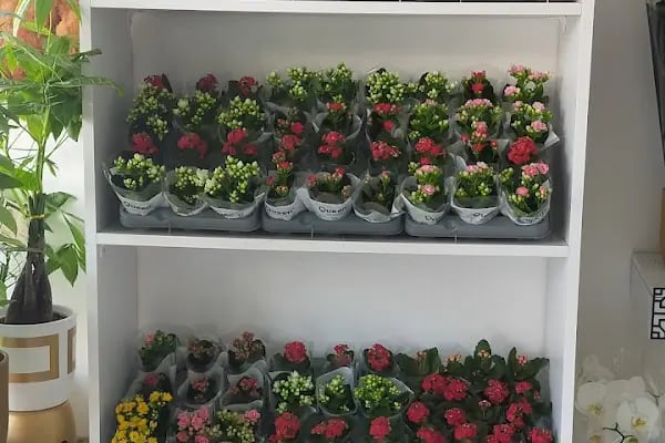 ÇİÇEK SEPETİ BALIKESİR - Resim 20