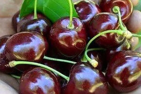 Sebze Meyve Dünyası - Resim 20
