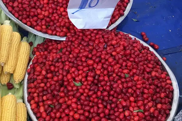 Sebze Meyve Dünyası - Resim 18
