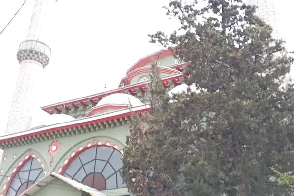 Yenice Köyü Cami - Resim 10