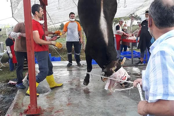 KARATAŞ ÇİFTLİĞİ - Resim 2