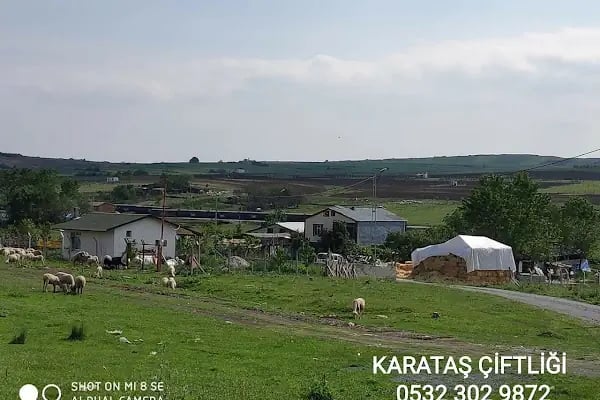 KARATAŞ ÇİFTLİĞİ - Resim 14