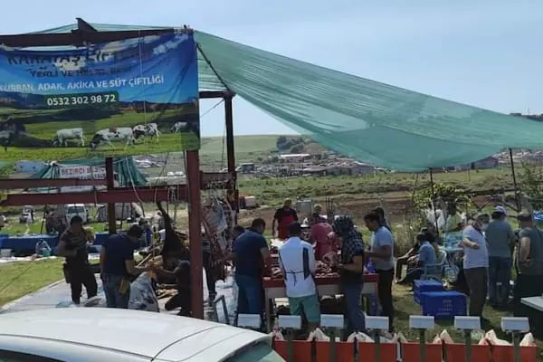 KARATAŞ ÇİFTLİĞİ - Resim 8