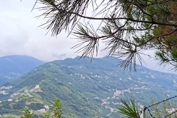 Sarıtaş Yeni toki - Resim 7