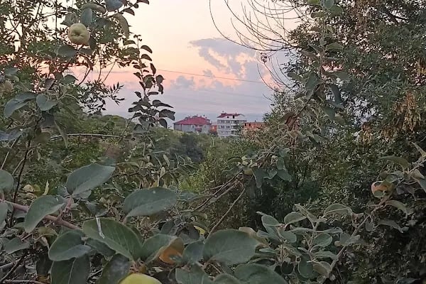 Sarıtaş Yeni toki - Resim 2