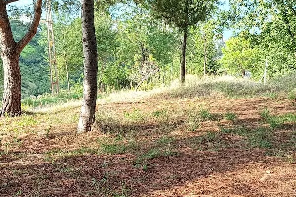 Sarıtaş Yeni toki - Resim 4