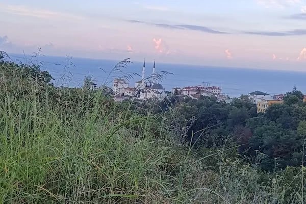 Sarıtaş Yeni toki - Resim 1
