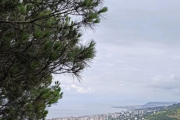 Sarıtaş Yeni toki - Resim 3