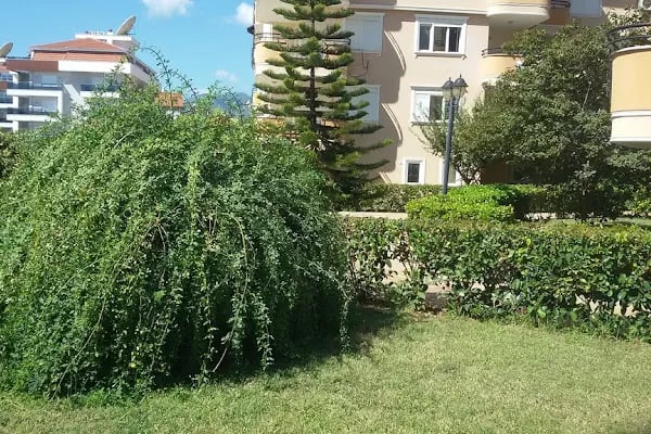Toros Residence Oba Oasıs Apartments - Resim 4