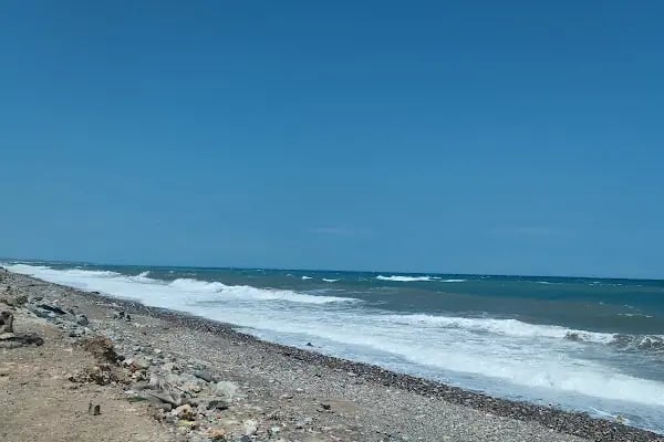 Ağaçlı plajı - Resim 2