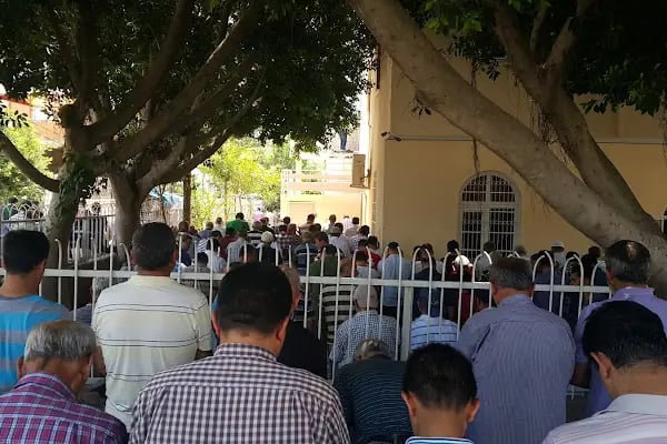 Pınar Cami - Resim 15