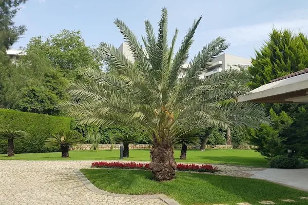 Çiçek Kent - Resim 10