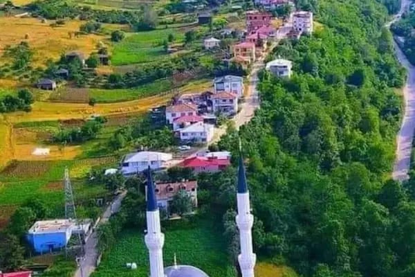 Yaylacık Mahalle Muhtarlığı - Resim 2