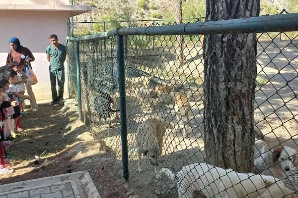 Minik Eller Kreş Ve Gündüz Bakım Evi - Resim 11