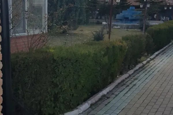 Balıkcı Bünyamin - Resim 12