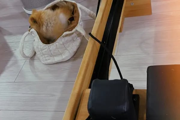 Medusa Pilates Studio - Resim 15