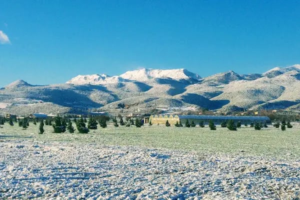 Ukkaşe Yurt Müdürlüğü - Resim 8