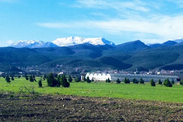 Ukkaşe Yurt Müdürlüğü - Resim 13