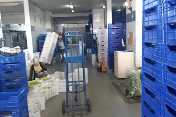 Antalya Büyük Şehir Belediyesi Toptancı Hal Müdürlüğü - Resim 11